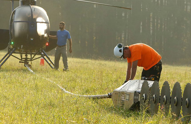 Shenandoah ROW Clearing